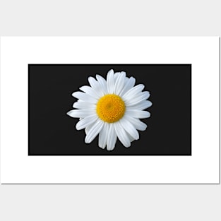 Daisy Posters and Art